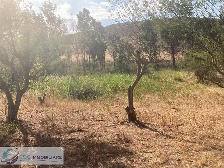 Immagine 22 di Terreno industriale in vendita  in c.da Piani Vicari a Vicari