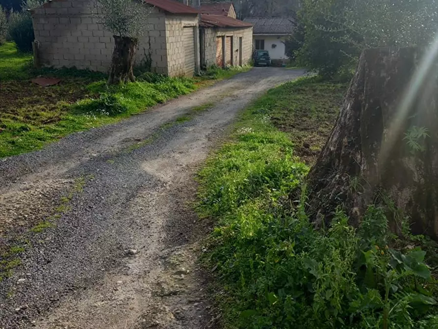 Immagine 7 di Terreno agricolo in vendita  a Cinquefrondi