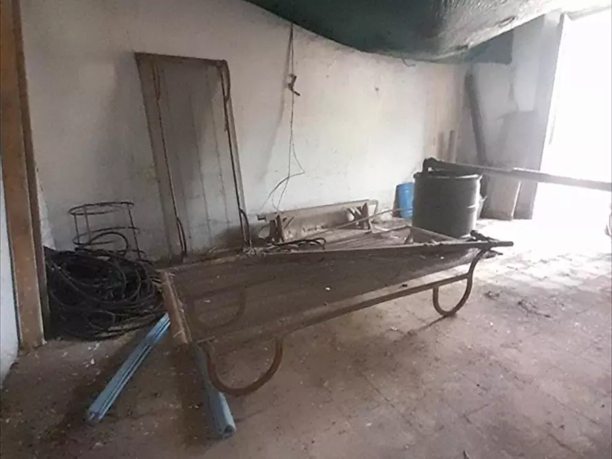 Immagine 5 di Casa indipendente in vendita  a Cittanova