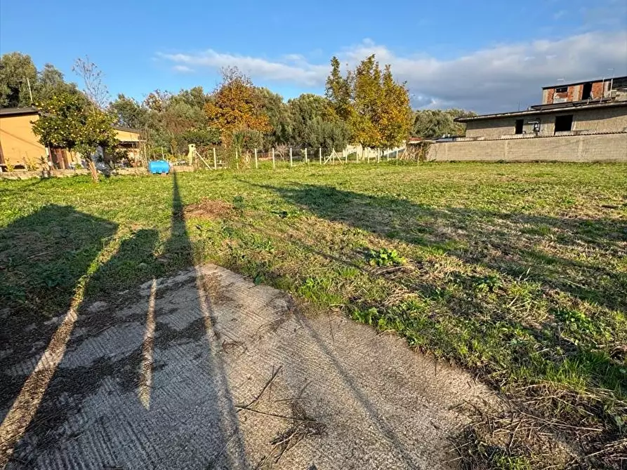 Immagine 5 di Terreno edificabile in vendita  a Taurianova