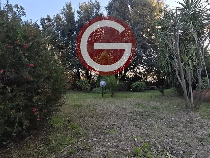 Immagine 5 di Villa in vendita  a Cittanova