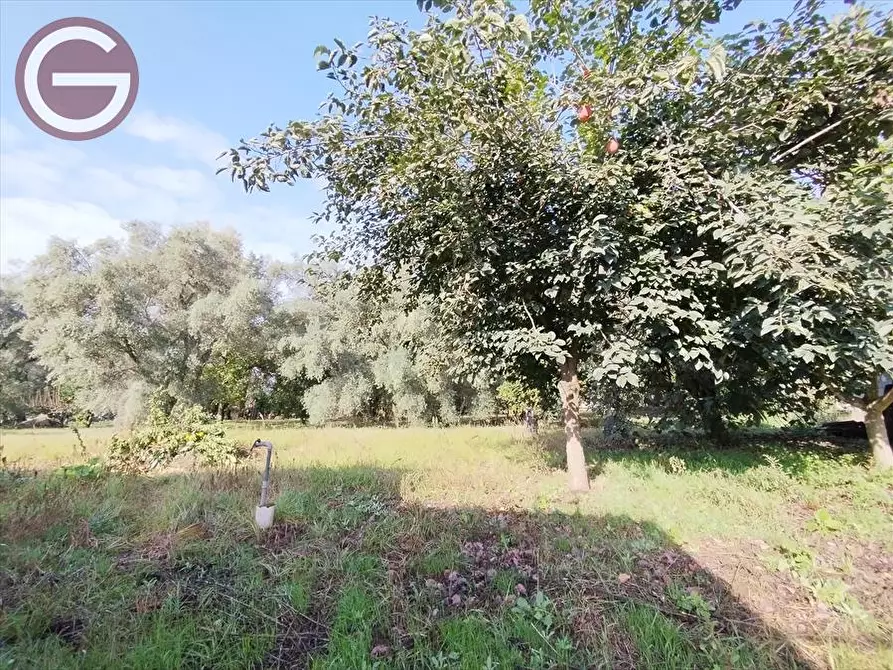 Immagine 13 di Casa indipendente in vendita  a Taurianova