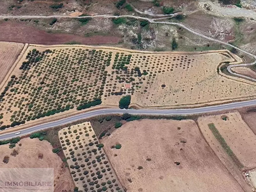 Immagine 9 di Terreno agricolo in vendita  in ss 118  a Prizzi