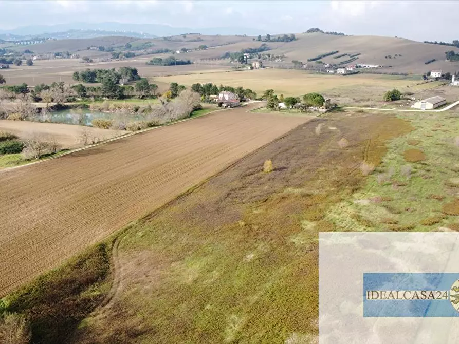 Immagine 10 di Terreno agricolo in vendita  in Treia C.da Chiaravalle snc a Treia