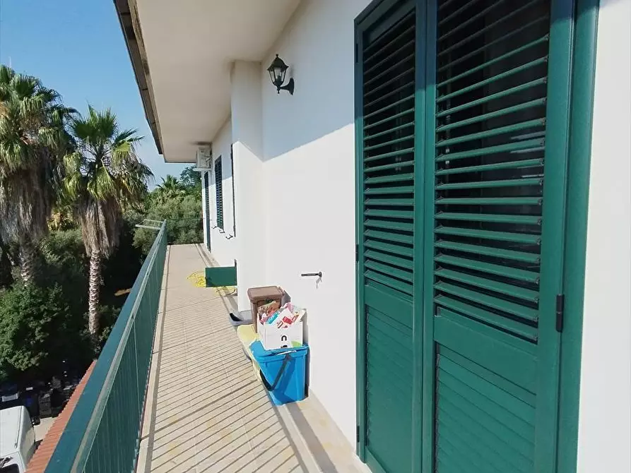 Immagine 13 di Appartamento in vendita  a Taurianova