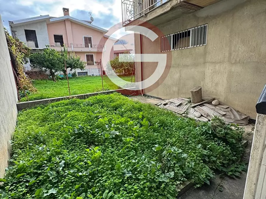 Immagine 18 di Casa indipendente in vendita  a Polistena