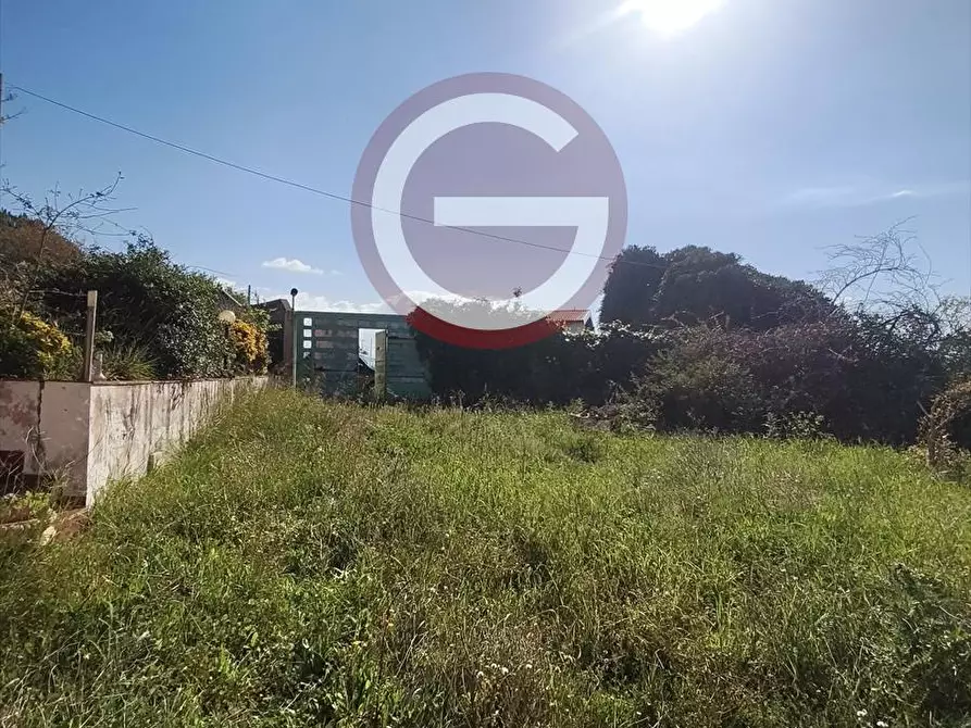 Immagine 9 di Villa in vendita  a Ricadi