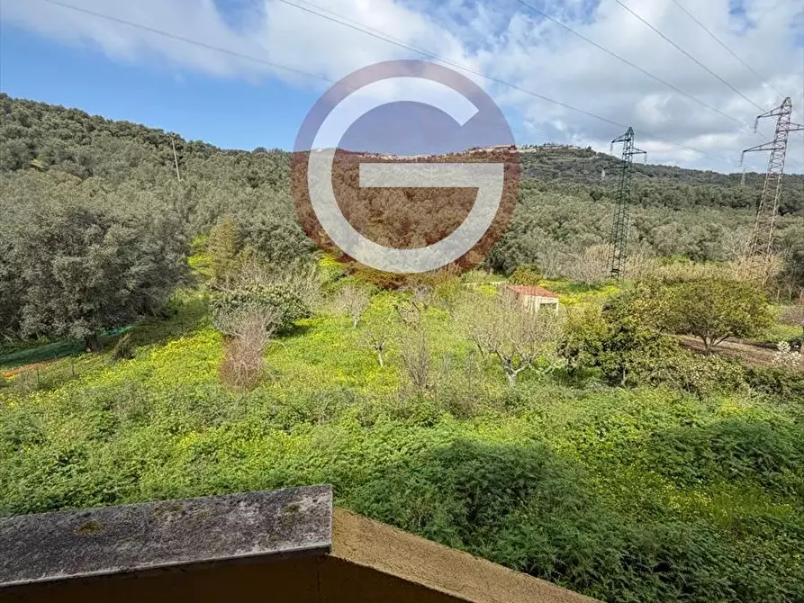 Immagine 15 di Locale commerciale in affitto  a Palmi