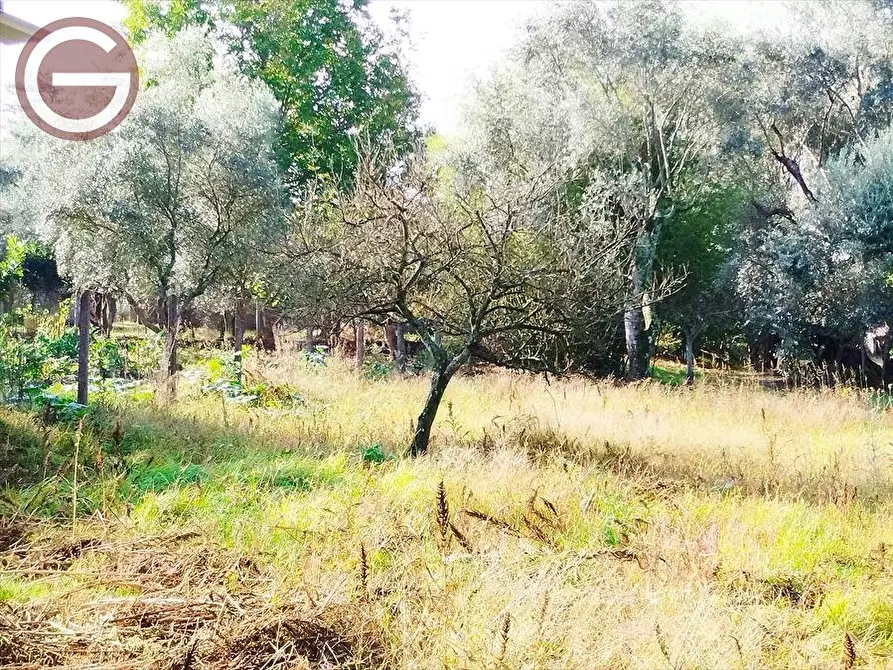 Immagine 11 di Casa indipendente in vendita  a Taurianova