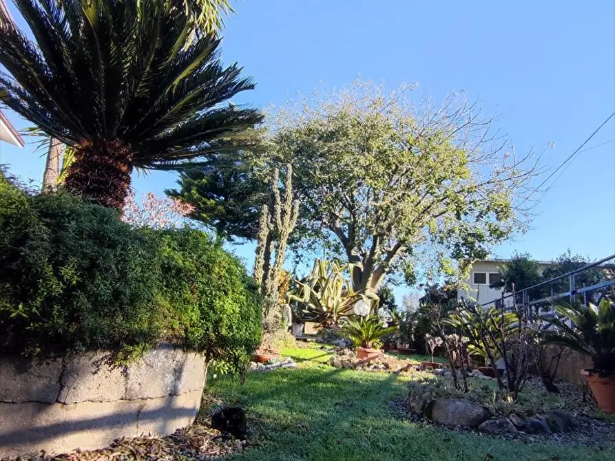 Immagine 3 di Casa indipendente in vendita  a Taurianova