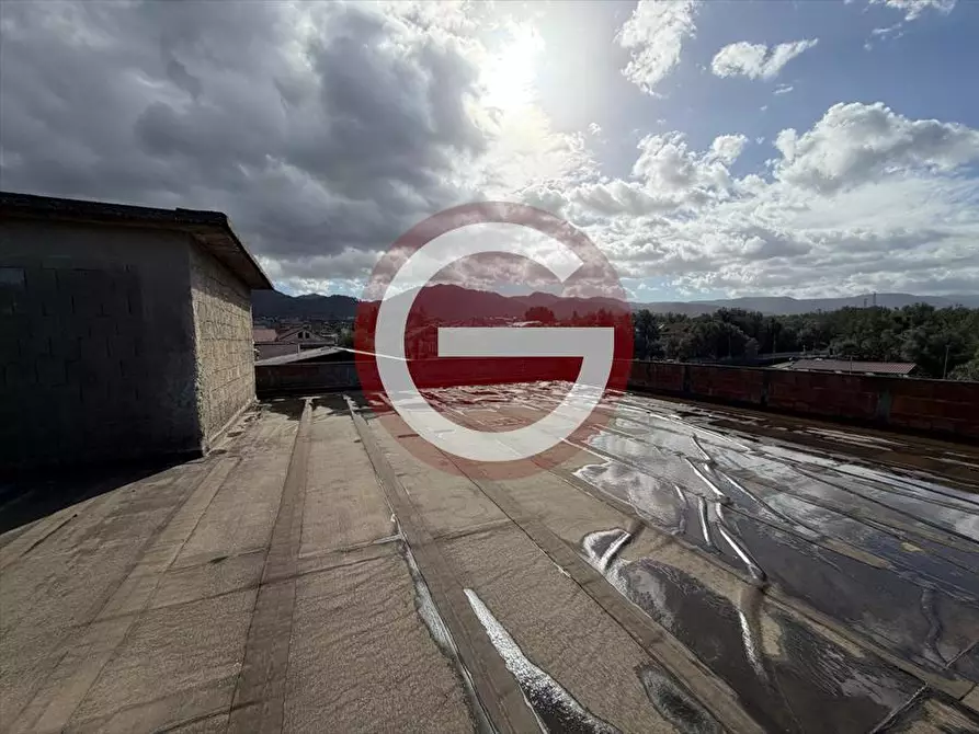 Immagine 15 di Appartamento in vendita  in Viale Merano a Cittanova