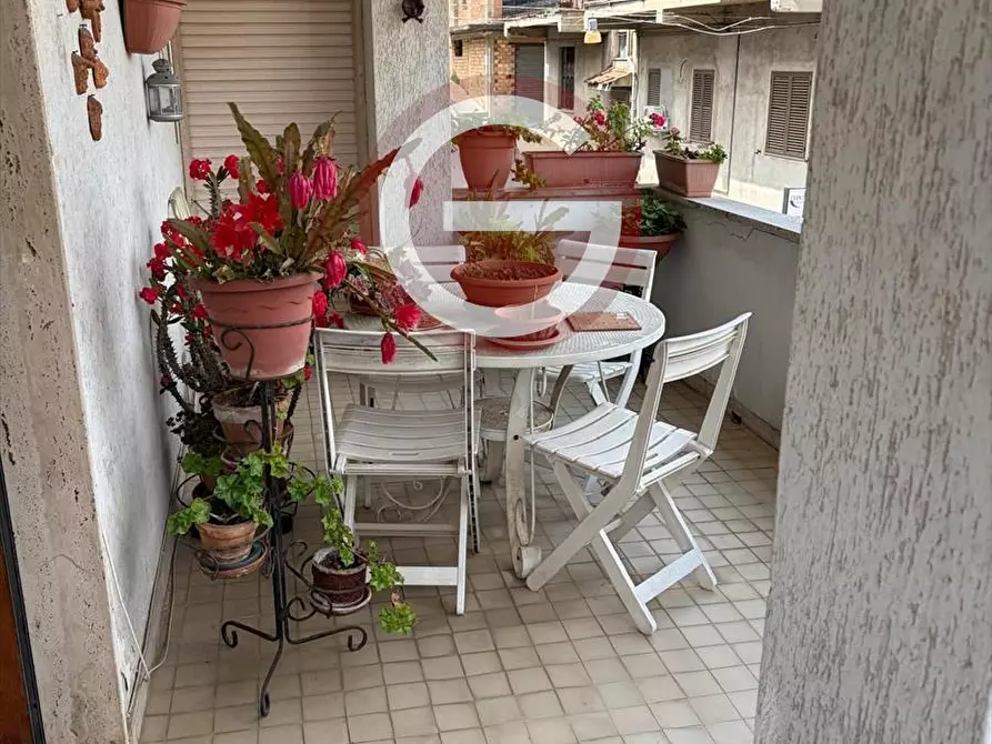 Immagine 24 di Casa indipendente in vendita  a Cinquefrondi