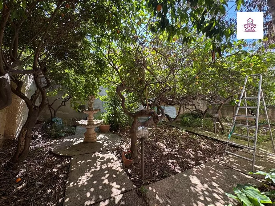 Immagine 2 di Appartamento in vendita  in via casabianca a Trapani