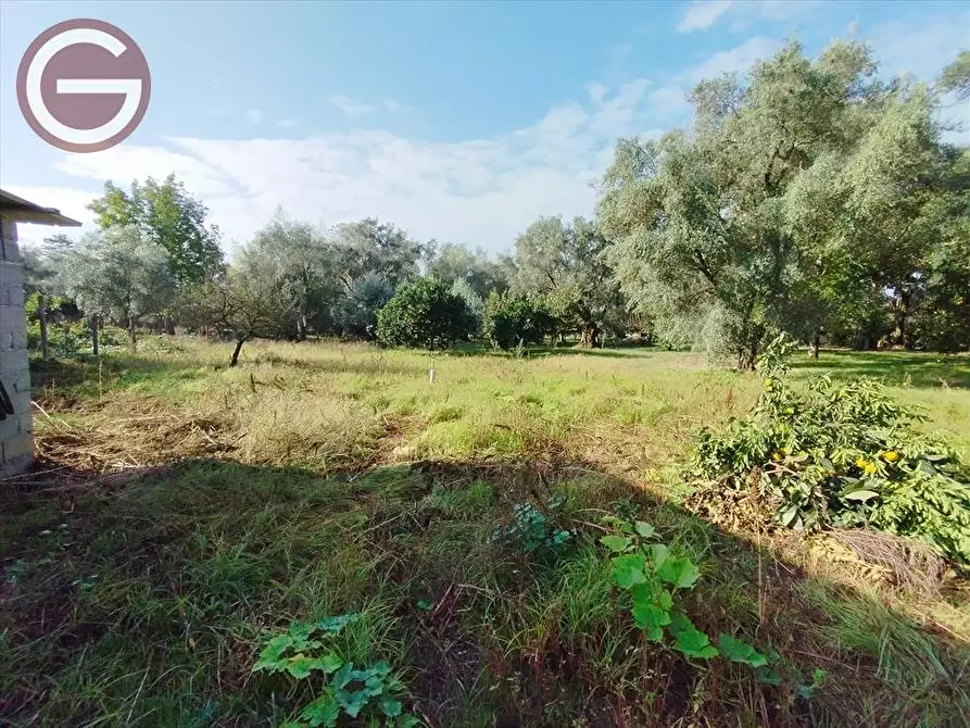 Immagine 10 di Casa indipendente in vendita  a Taurianova