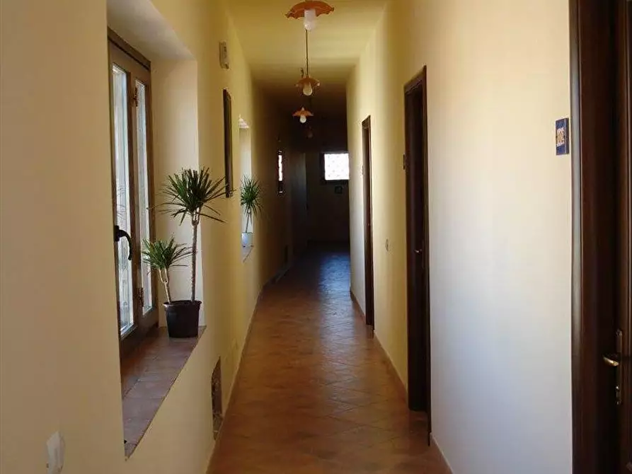 Immagine 11 di Agriturismo in vendita  in Contrada Riena  a Castronovo Di Sicilia