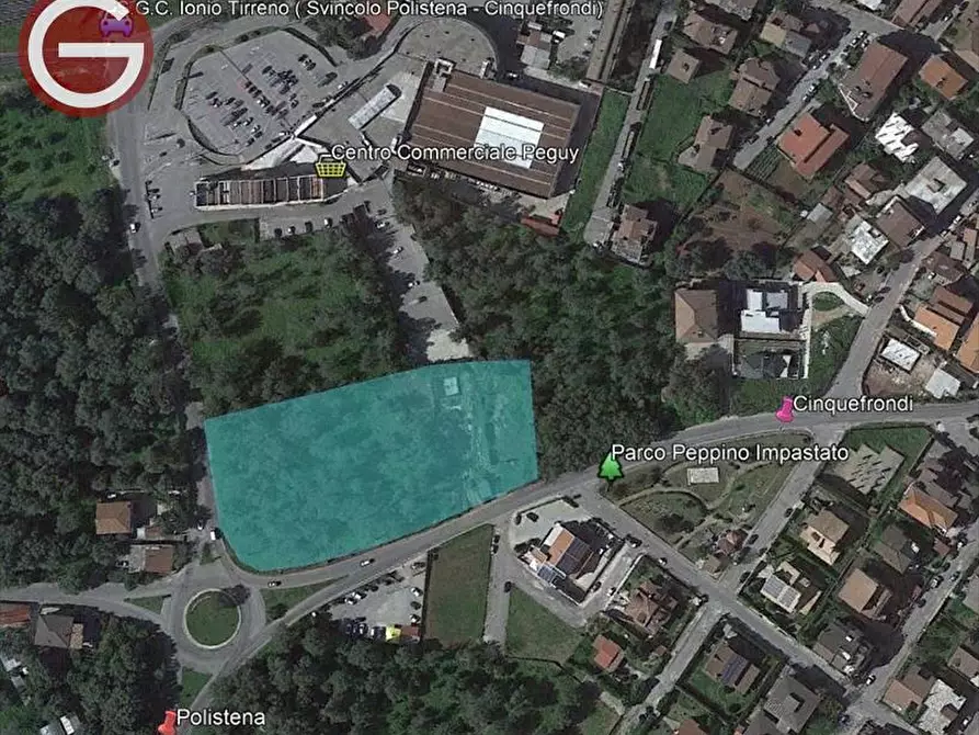 Immagine 3 di Villa in vendita  a Polistena