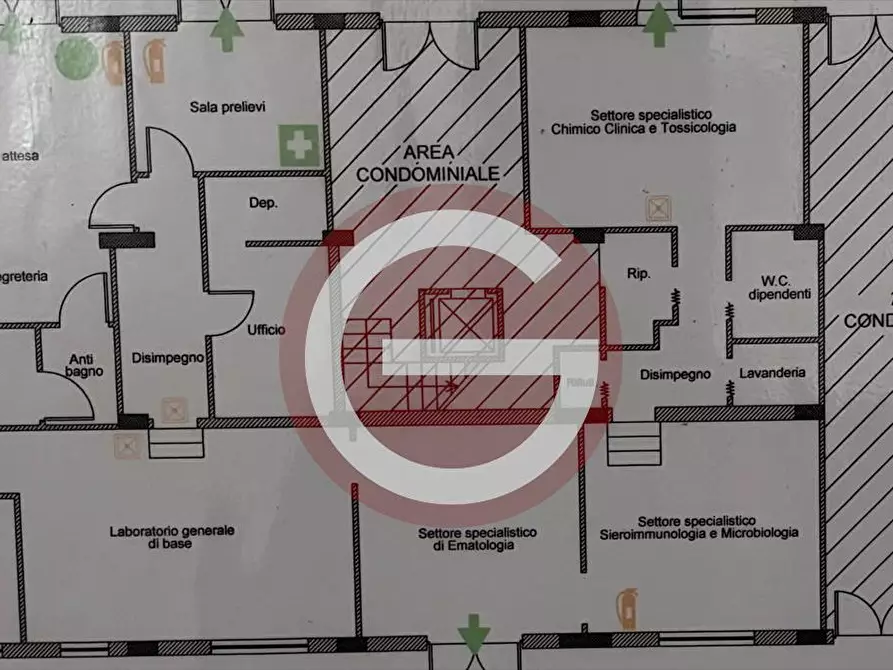 Immagine 1 di Attività commerciale in affitto  a Taurianova