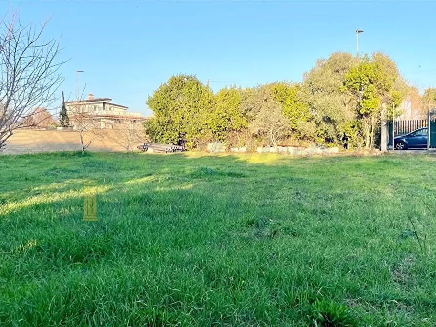 Immagine 3 di Terreno agricolo in vendita  in Via Sant'Andrea Apostolo a Pomezia