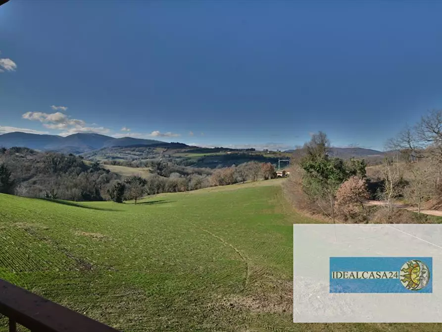 Immagine 4 di Terreno agricolo in vendita  in camporotondo di fiastrone c.da colvenale n. 7  a Camporotondo Di Fiastrone