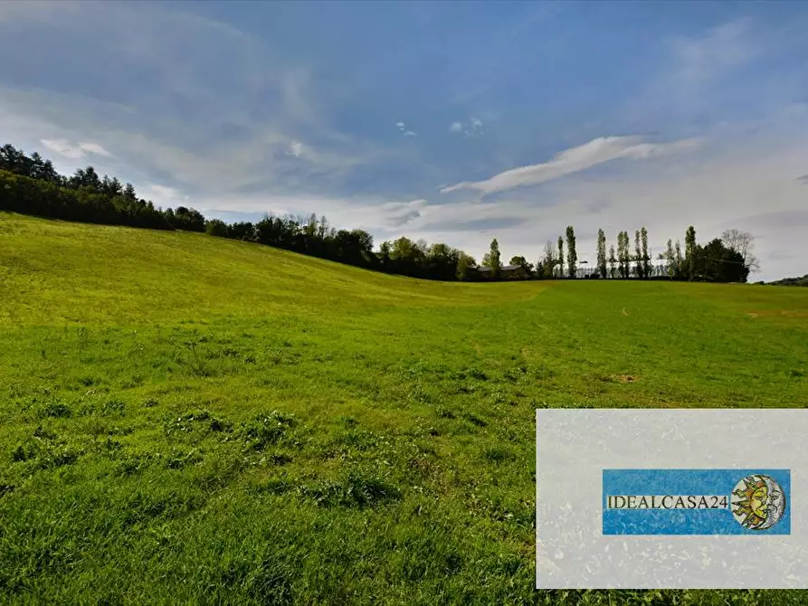 Immagine 20 di Terreno agricolo in vendita  in Corridonia Contrada Ponte tavola a Corridonia