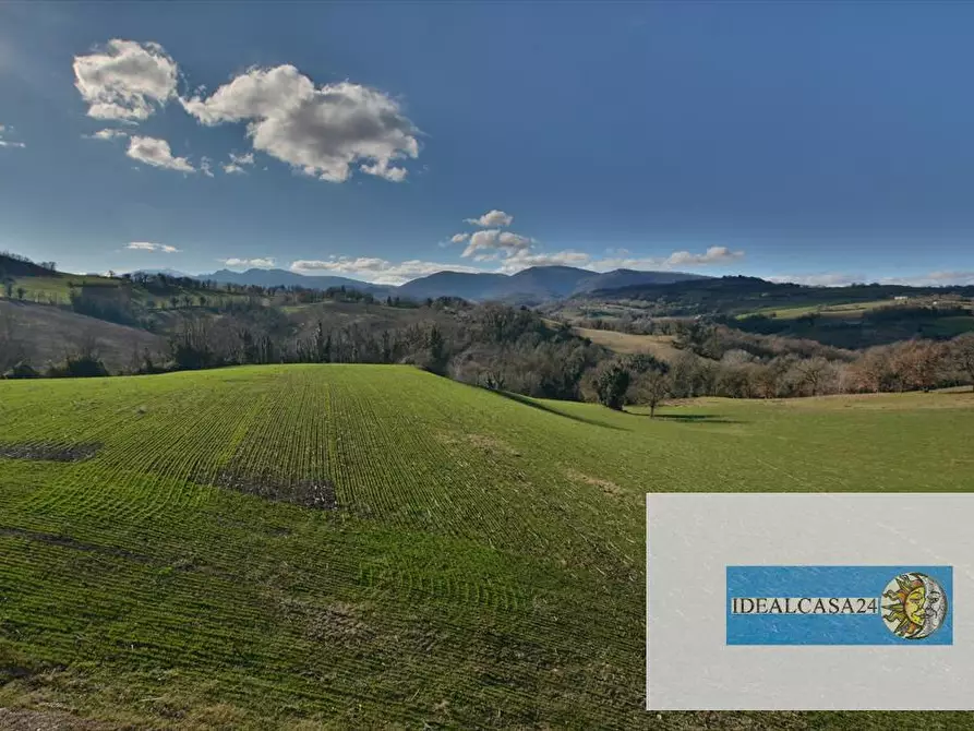 Immagine 8 di Terreno agricolo in vendita  in camporotondo di fiastrone c.da colvenale n. 7  a Camporotondo Di Fiastrone