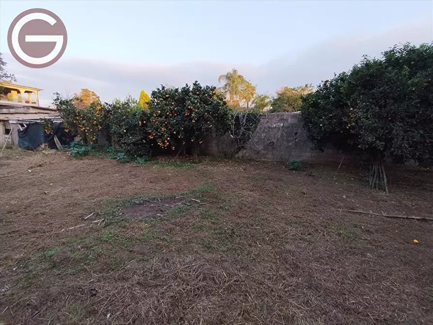 Immagine 7 di Terreno edificabile in vendita  a Taurianova