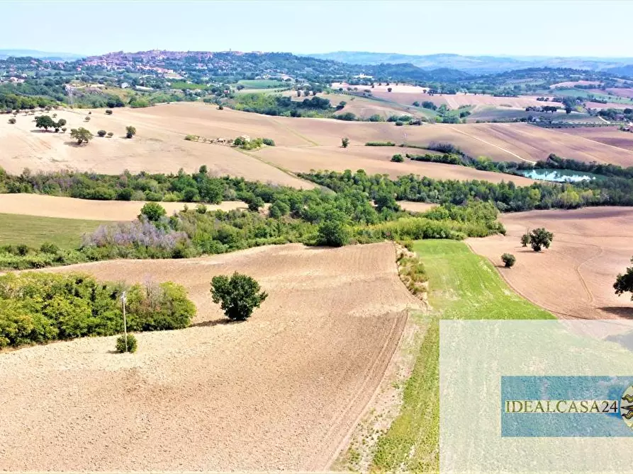 Immagine 19 di Terreno edificabile in vendita  a Treia