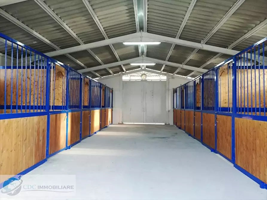 Immagine 15 di Agriturismo in vendita  in Contrada Riena  a Castronovo Di Sicilia