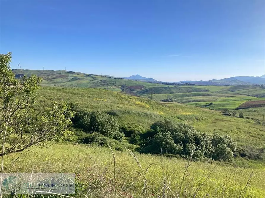 Immagine 2 di Terreno agricolo in vendita  in Borgo Riena a Castronovo Di Sicilia
