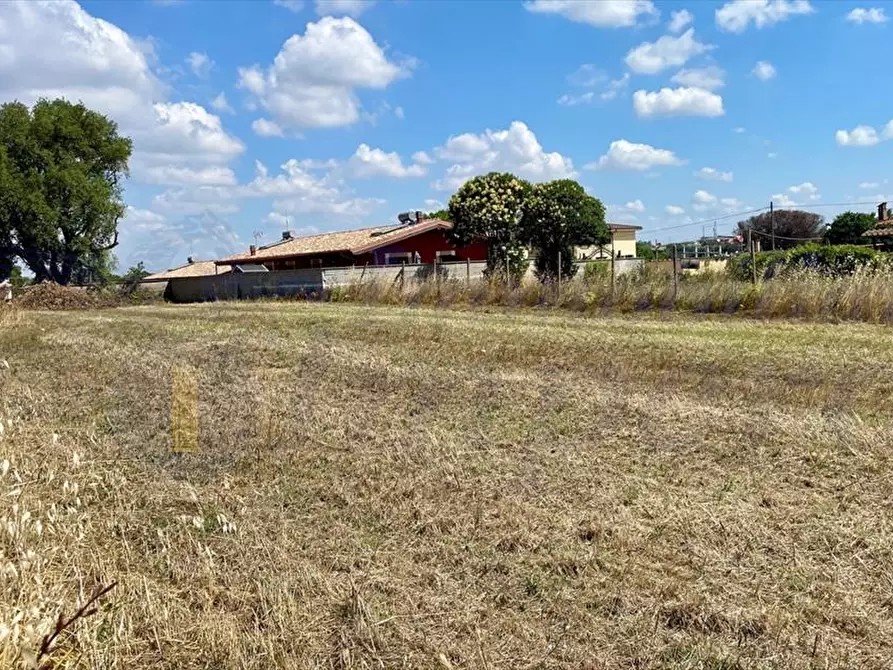 Immagine 7 di Terreno edificabile in vendita  in Via Dei Gladioli a Ardea