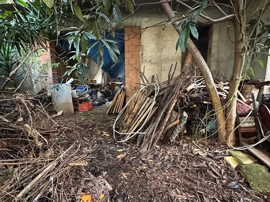 Immagine 15 di Villa in vendita  a Taurianova