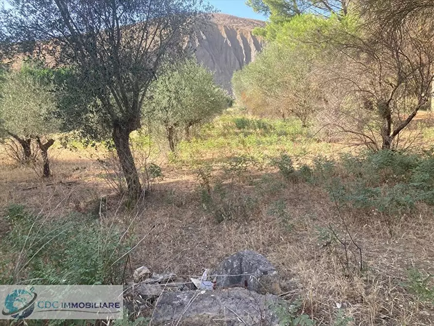 Immagine 23 di Terreno industriale in vendita  in c.da Piani Vicari a Vicari