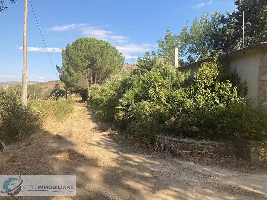 Immagine 6 di Terreno industriale in vendita  in c.da Piani Vicari a Vicari