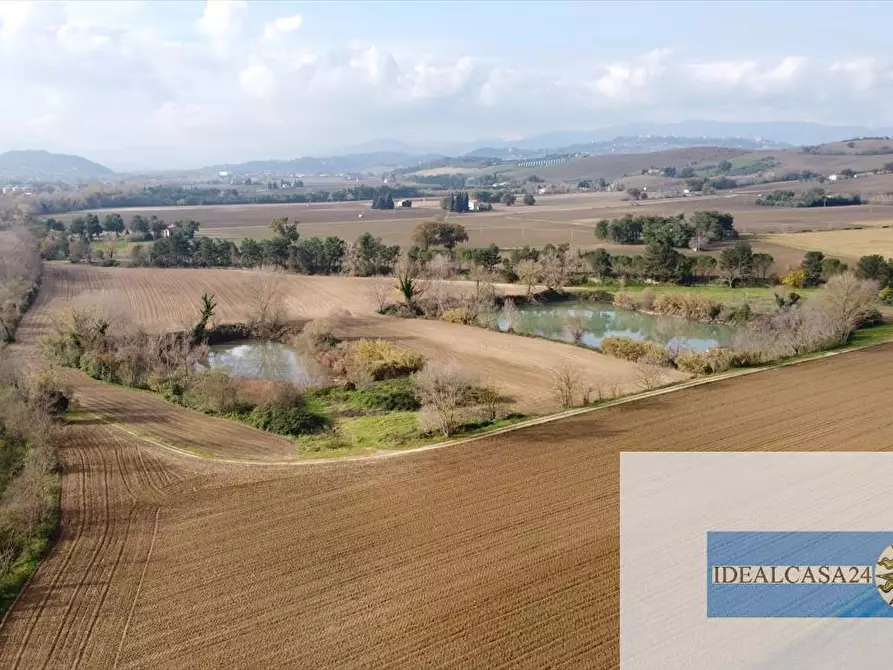 Immagine 15 di Terreno agricolo in vendita  in Treia C.da Chiaravalle snc a Treia