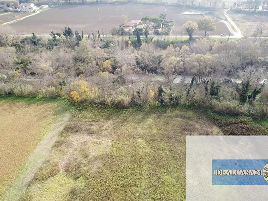 Immagine 6 di Terreno agricolo in vendita  in Treia C.da Chiaravalle snc a Treia