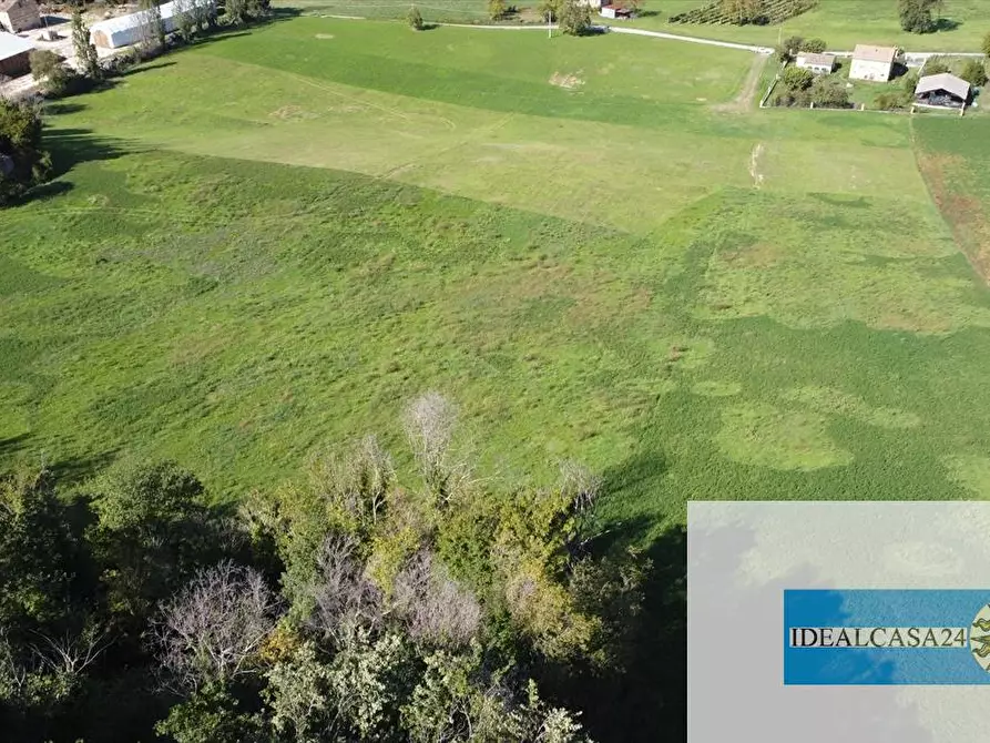 Immagine 10 di Terreno agricolo in vendita  in Corridonia Contrada Ponte tavola a Corridonia