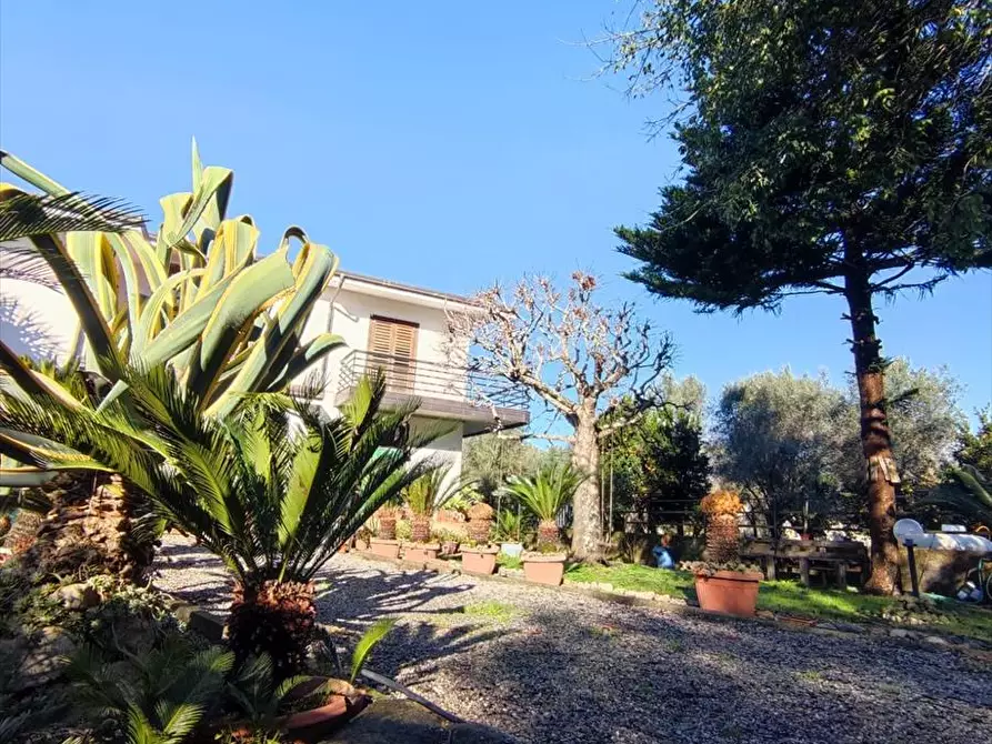 Immagine 9 di Casa indipendente in vendita  a Taurianova