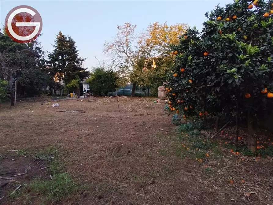 Immagine 10 di Terreno edificabile in vendita  a Taurianova