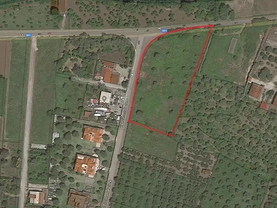 Immagine 7 di Terreno agricolo in vendita  a Taurianova