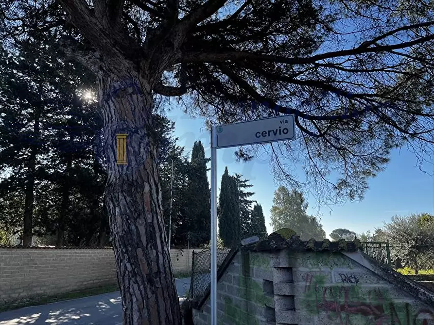 Immagine 6 di Terreno edificabile in vendita  a Aprilia