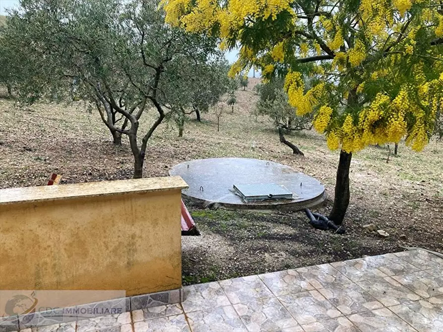 Immagine 7 di Terreno agricolo in vendita  in ss 118  a Prizzi