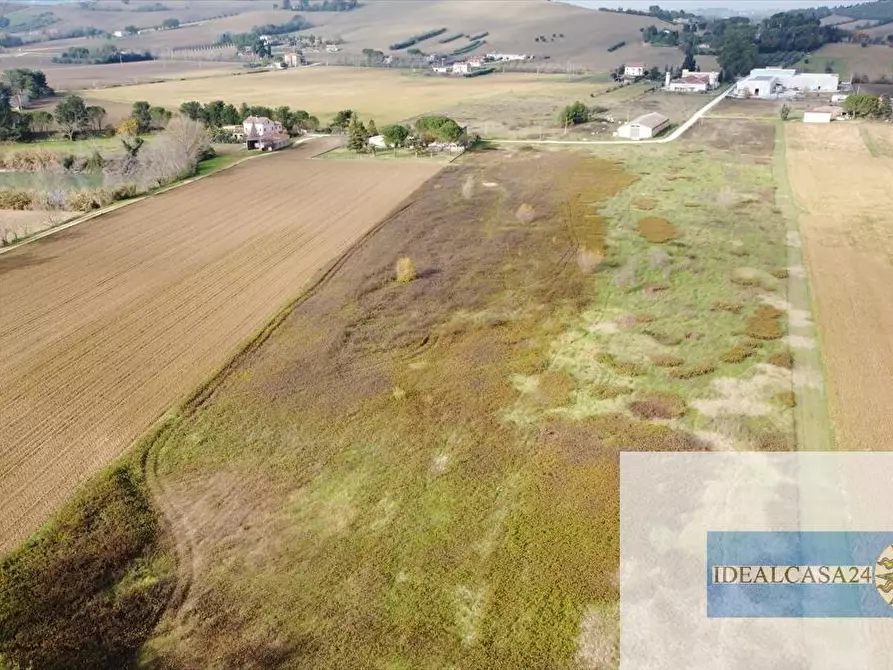 Immagine 12 di Terreno agricolo in vendita  in Treia C.da Chiaravalle snc a Treia
