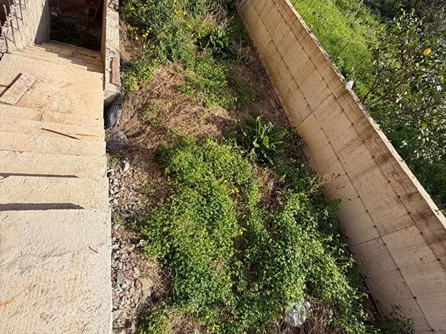 Immagine 11 di Rustico / casale in vendita  a Taurianova