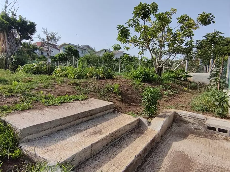 Immagine 7 di Terreno agricolo in vendita  a Taurianova