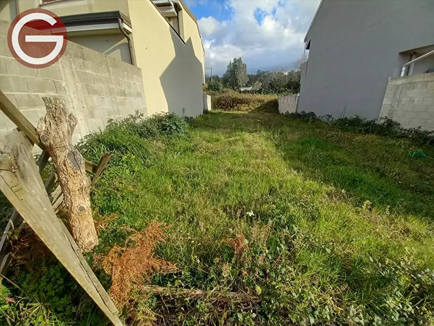 Immagine 2 di Terreno edificabile in vendita  a Cinquefrondi