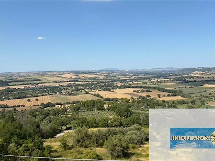 Immagine 17 di Casa indipendente in vendita  in Pollenza C.da Fontangela a Pollenza