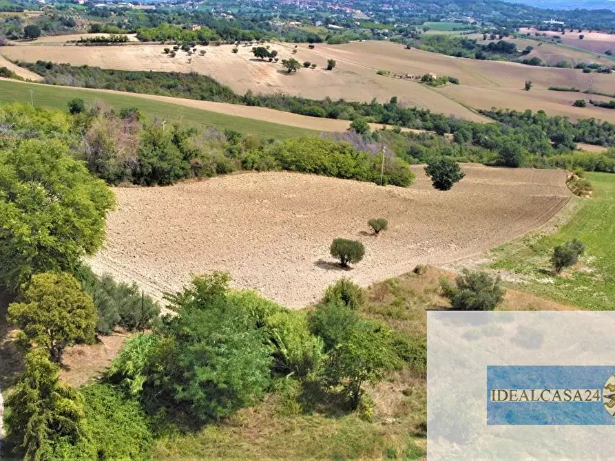 Immagine 16 di Terreno edificabile in vendita  a Treia