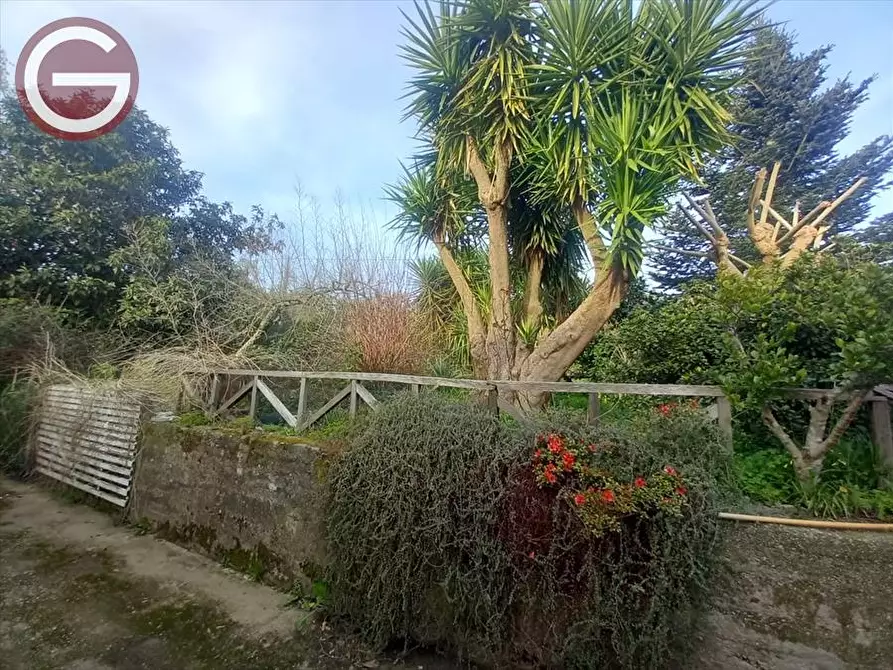 Immagine 4 di Terreno agricolo in vendita  a Cinquefrondi
