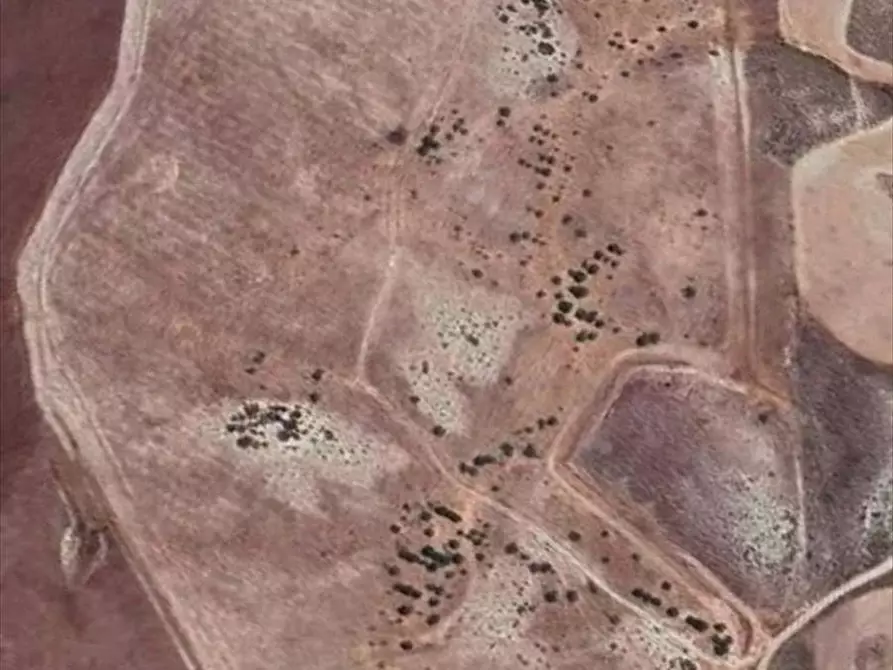 Immagine 1 di Terreno agricolo in vendita  in conrtrada Mannifarina a Castronovo Di Sicilia
