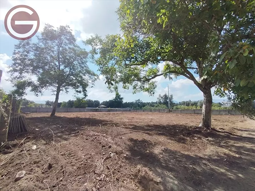 Immagine 4 di Terreno edificabile in vendita  a Taurianova